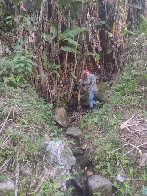 Foto 6 de Terreno / Lote à venda, 1300m2 em Alto do Piracuama, Pindamonhangaba - SP
