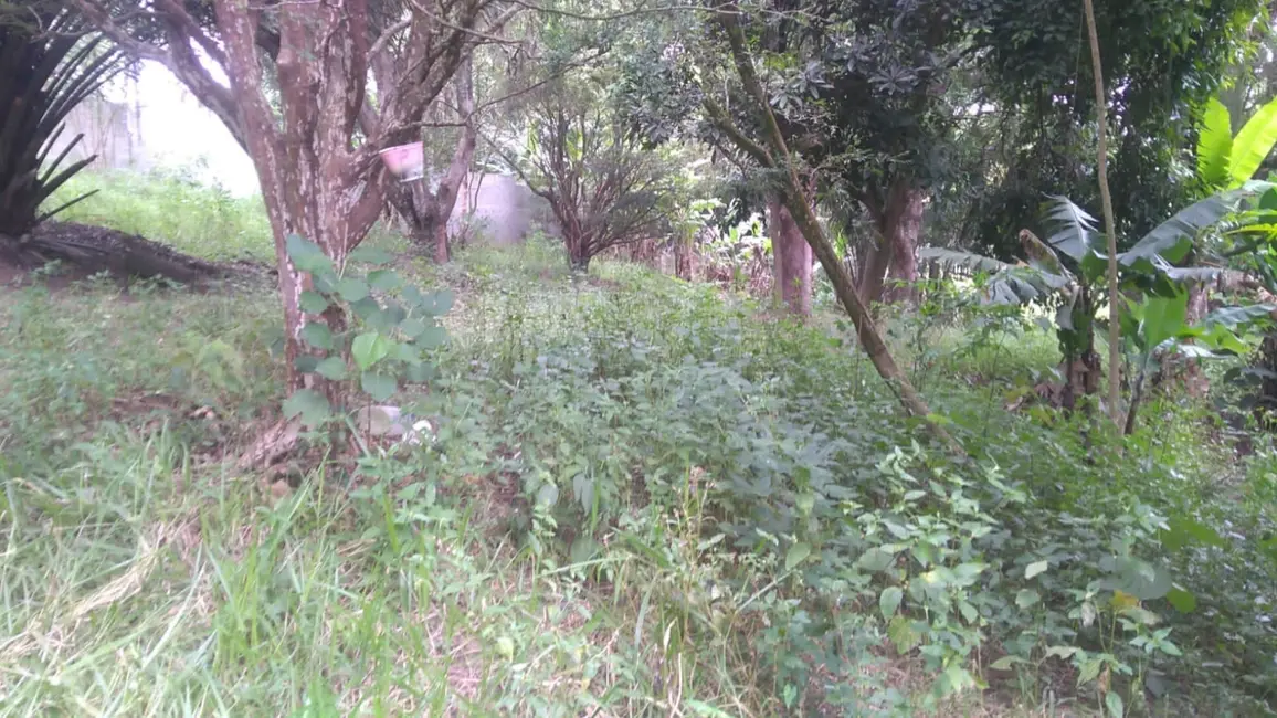 Foto 1 de Terreno / Lote à venda, 6866m2 em Crispim, Pindamonhangaba - SP