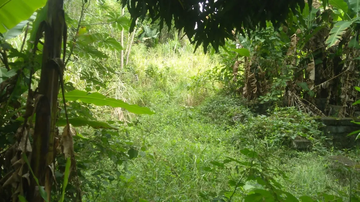 Foto 7 de Terreno / Lote à venda, 6866m2 em Crispim, Pindamonhangaba - SP