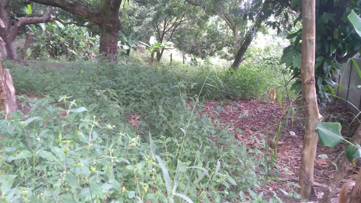 Foto 3 de Terreno / Lote à venda, 6866m2 em Crispim, Pindamonhangaba - SP