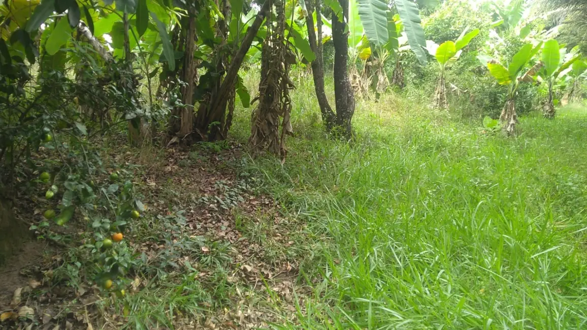 Foto 9 de Terreno / Lote à venda, 6866m2 em Crispim, Pindamonhangaba - SP