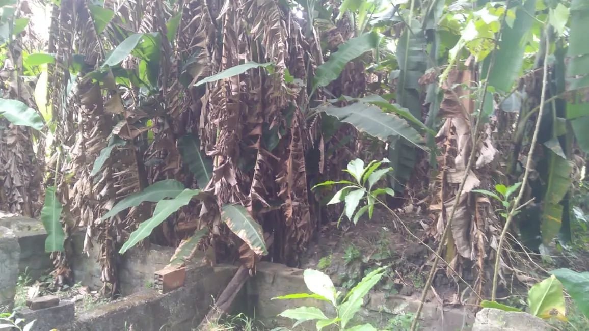 Foto 2 de Terreno / Lote à venda, 6866m2 em Crispim, Pindamonhangaba - SP