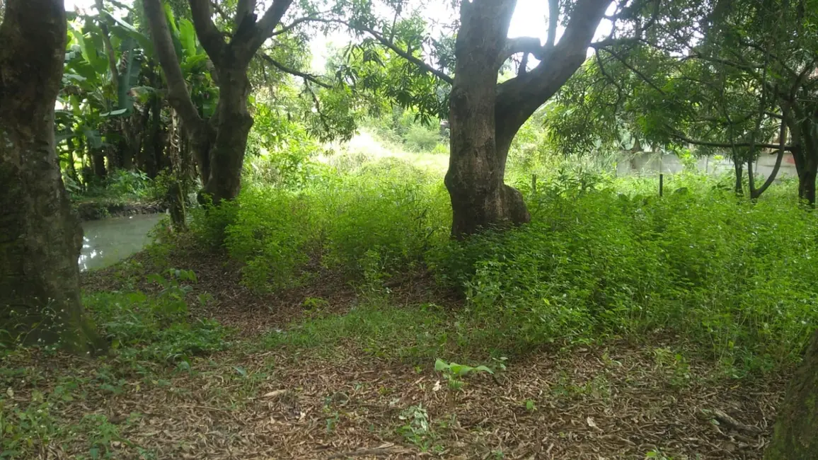 Foto 6 de Terreno / Lote à venda, 6866m2 em Crispim, Pindamonhangaba - SP