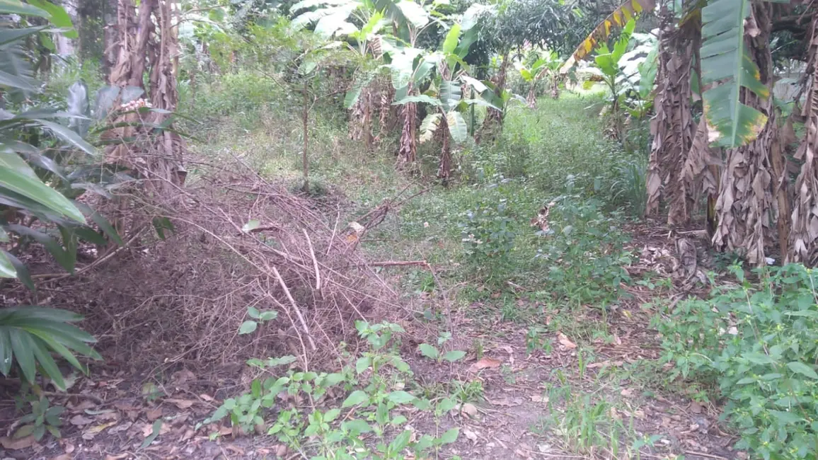 Foto 4 de Terreno / Lote à venda, 6866m2 em Crispim, Pindamonhangaba - SP