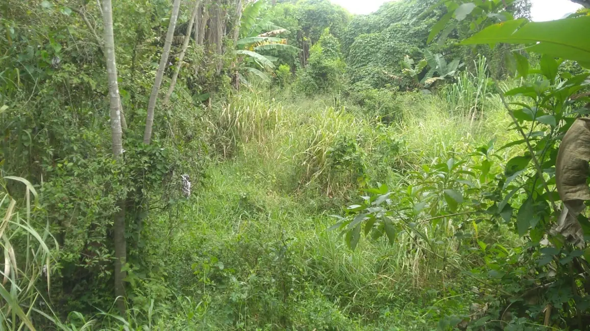 Foto 8 de Terreno / Lote à venda, 6866m2 em Crispim, Pindamonhangaba - SP