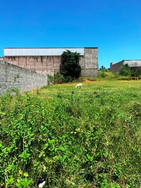 Foto 6 de Terreno / Lote à venda, 1146m2 em Cidade Nova, Pindamonhangaba - SP