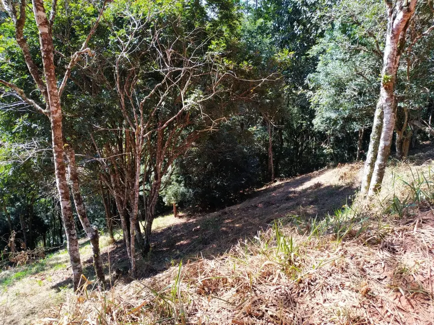 Foto 4 de Terreno / Lote à venda, 1500m2 em Centro, Santo Antonio Do Pinhal - SP