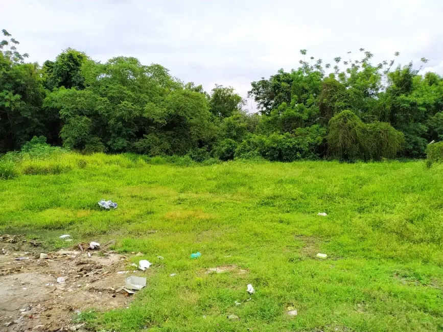 Foto 1 de Terreno / Lote à venda, 3200m2 em Crispim, Pindamonhangaba - SP