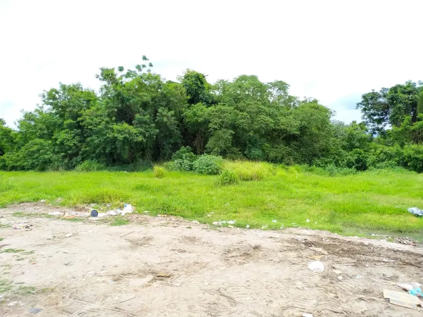 Foto 2 de Terreno / Lote à venda, 3200m2 em Crispim, Pindamonhangaba - SP