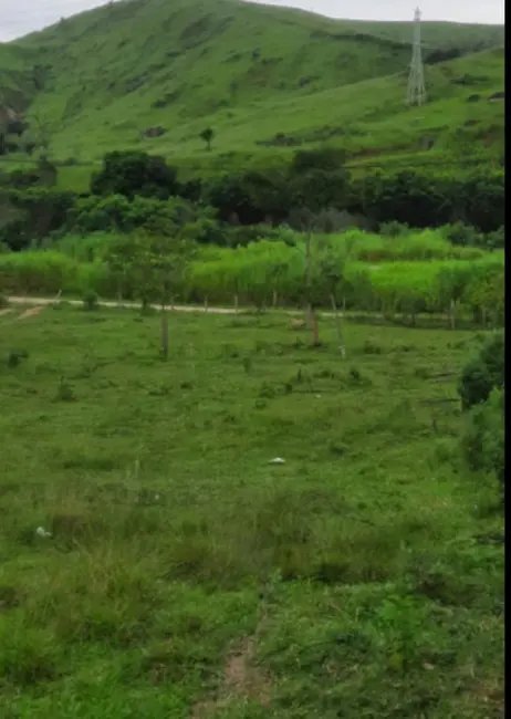 Foto 4 de Terreno / Lote à venda, 12000m2 em Roseira - SP