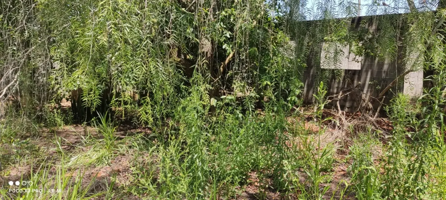 Foto 9 de Terreno / Lote à venda, 60m2 em Vila Suiça, Pindamonhangaba - SP