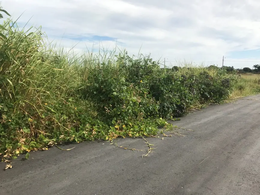 Terreno / Lote à venda, 125m2 em Pindamonhangaba - SP - imagem 4 Foto 4 de Terreno / Lote à venda, 125m2 em Pindamonhangaba - SP