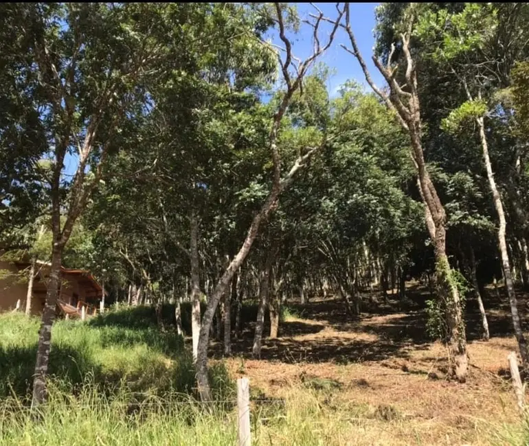 Foto 4 de Terreno / Lote à venda, 1500m2 em Centro, Santo Antonio Do Pinhal - SP