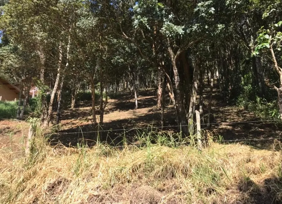 Foto 1 de Terreno / Lote à venda, 1500m2 em Centro, Santo Antonio Do Pinhal - SP