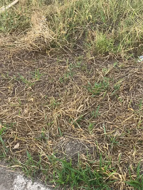 Foto 1 de Terreno / Lote à venda, 250m2 em Moreira César, Pindamonhangaba - SP