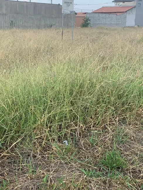 Foto 4 de Terreno / Lote à venda, 250m2 em Moreira César, Pindamonhangaba - SP