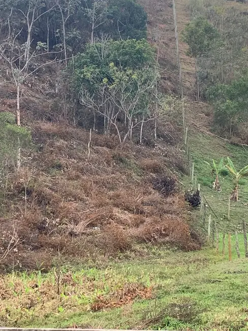Foto 9 de Terreno / Lote à venda, 30000m2 em Mandú, Pindamonhangaba - SP