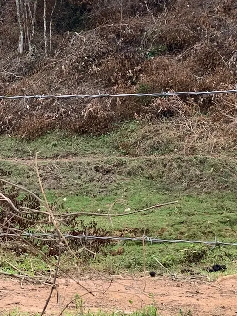 Foto 7 de Terreno / Lote à venda, 30000m2 em Mandú, Pindamonhangaba - SP