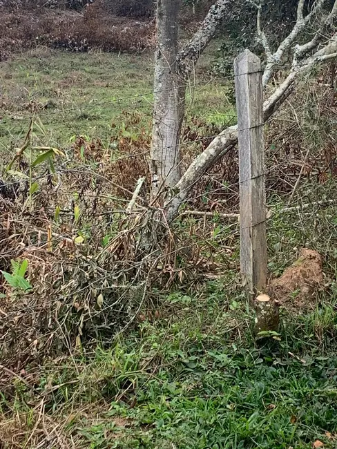 Foto 4 de Terreno / Lote à venda, 30000m2 em Mandú, Pindamonhangaba - SP