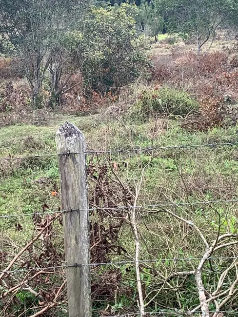 Foto 5 de Terreno / Lote à venda, 30000m2 em Mandú, Pindamonhangaba - SP