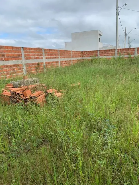 Foto 1 de Terreno / Lote à venda, 175m2 em Crispim, Pindamonhangaba - SP