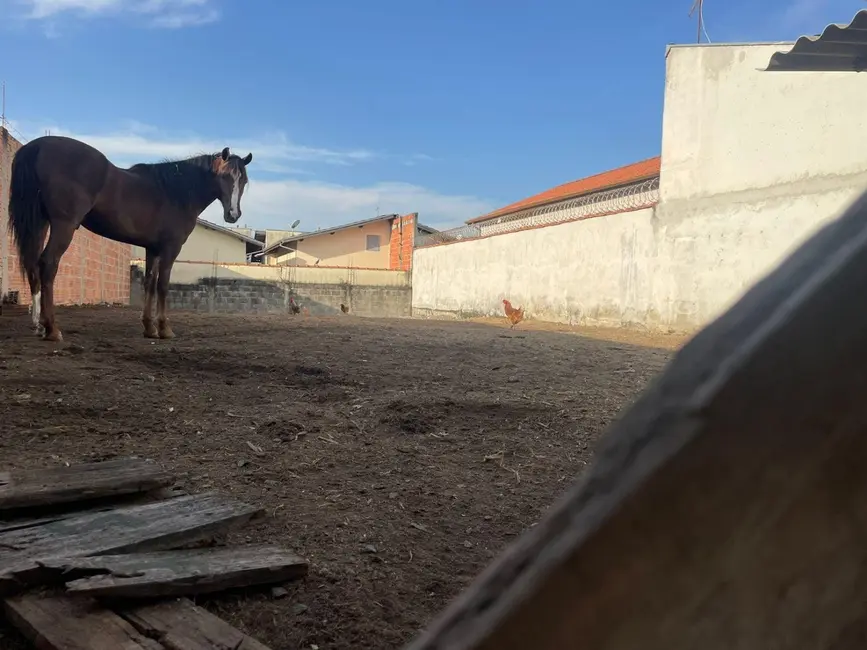 Foto 6 de Terreno / Lote à venda, 250m2 em Residencial Pasin, Pindamonhangaba - SP