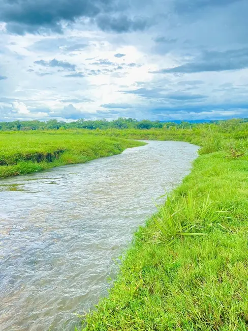 Foto 9 de Terreno / Lote à venda, 10000m2 em Ribeirão Grande, Pindamonhangaba - SP