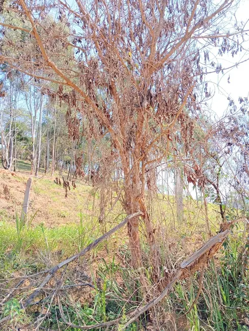 Foto 2 de Terreno / Lote à venda, 1632m2 em Pedreira, Guaratingueta - SP