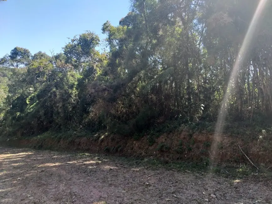 Foto 1 de Terreno / Lote à venda, 1675m2 em Santo Antonio Do Pinhal - SP