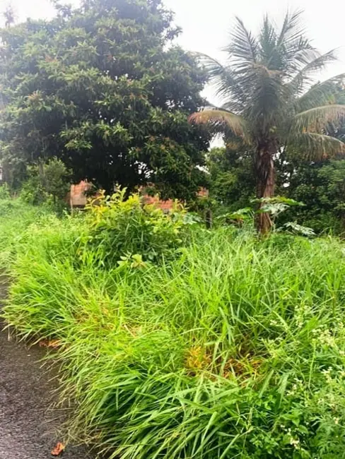 Terreno / Lote à venda, 500m2 em Parque Shangri-lá, Pindamonhangaba - SP - imagem 5 Foto 5 de Terreno / Lote à venda, 500m2 em Parque Shangri-lá, Pindamonhangaba - SP