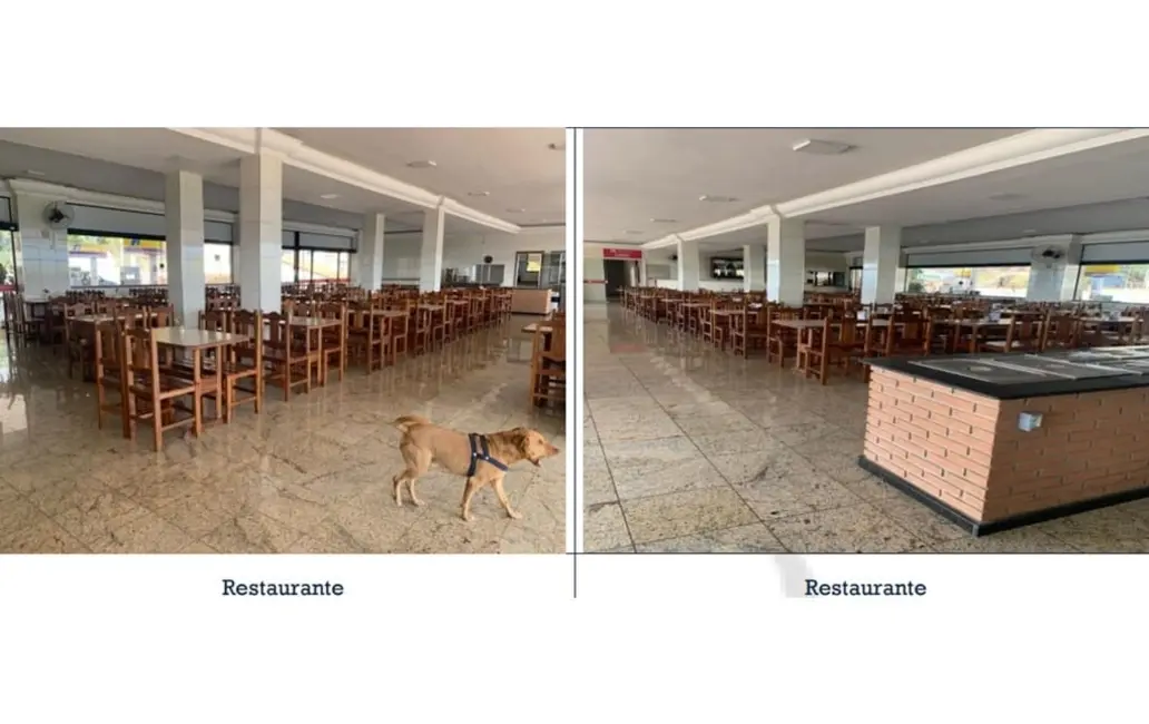 Sala Comercial com 82 quartos à venda, 3770m2 em Aparecida - SP - imagem 7 Foto 7 de Sala Comercial com 82 quartos à venda, 3770m2 em Aparecida - SP