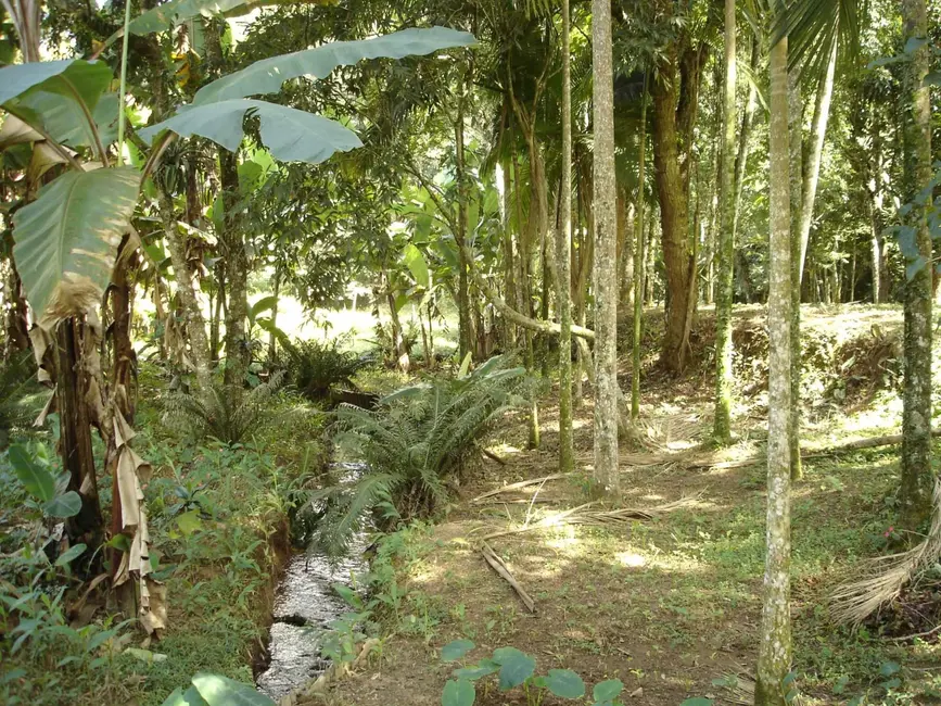 Foto 3 de Sítio / Rancho com 3 quartos à venda, 500m2 em Ribeirão Grande, Pindamonhangaba - SP