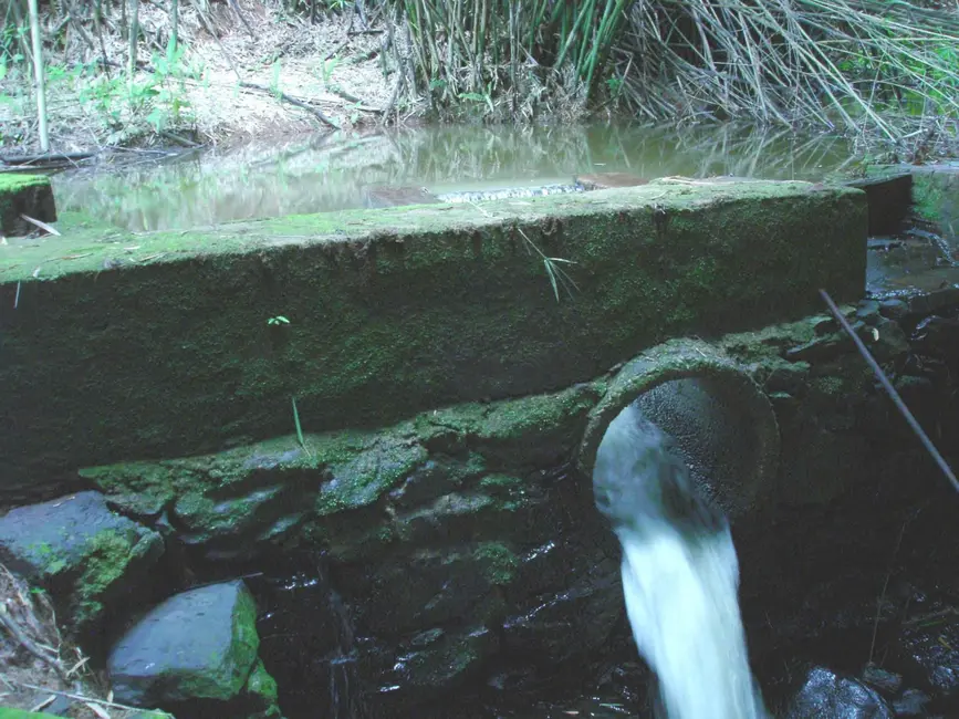 Sítio / Rancho com 3 quartos à venda, 500m2 em Ribeirão Grande, Pindamonhangaba - SP - imagem 4 Foto 4 de Sítio / Rancho com 3 quartos à venda, 500m2 em Ribeirão Grande, Pindamonhangaba - SP