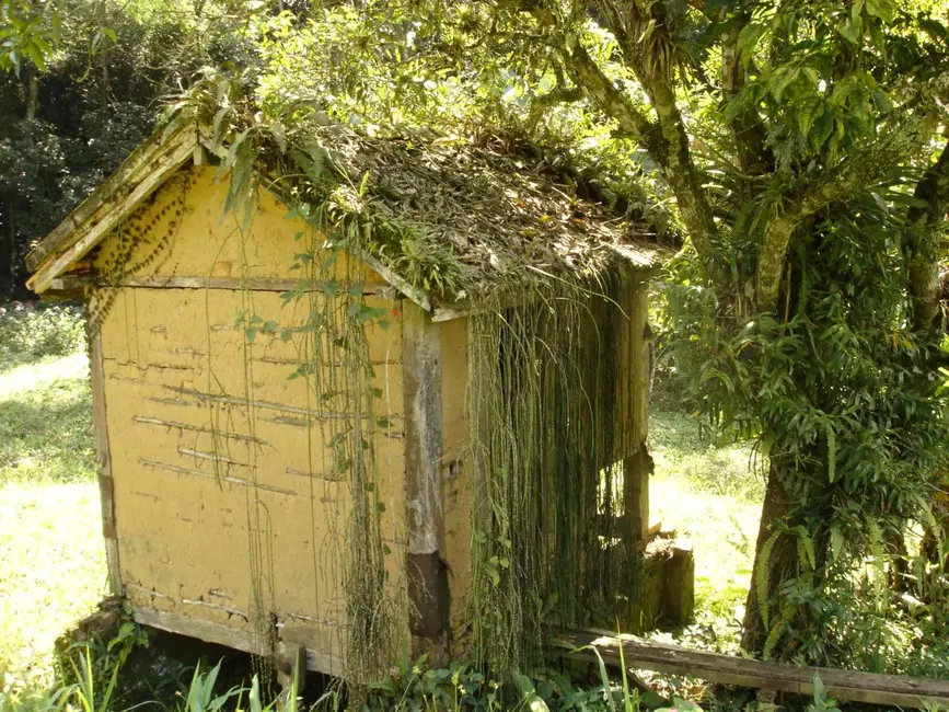 Foto 7 de Sítio / Rancho com 3 quartos à venda, 500m2 em Ribeirão Grande, Pindamonhangaba - SP