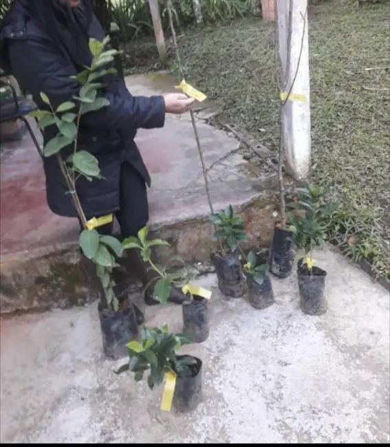 Foto 5 de Chácara com 2 quartos à venda, 75m2 em Ribeirão Grande, Pindamonhangaba - SP