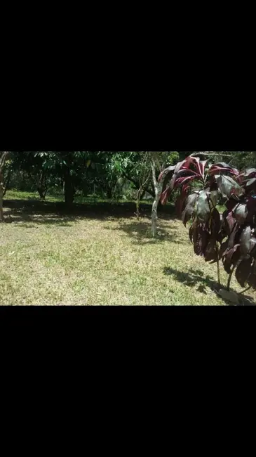 Foto 1 de Chácara com 2 quartos à venda, 75m2 em Ribeirão Grande, Pindamonhangaba - SP