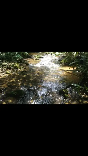 Foto 7 de Chácara com 2 quartos à venda, 75m2 em Ribeirão Grande, Pindamonhangaba - SP