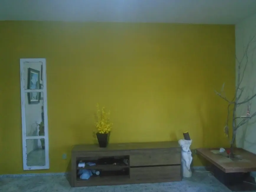 Foto 7 de Chácara com 3 quartos à venda, 265m2 em Goiabal, Pindamonhangaba - SP