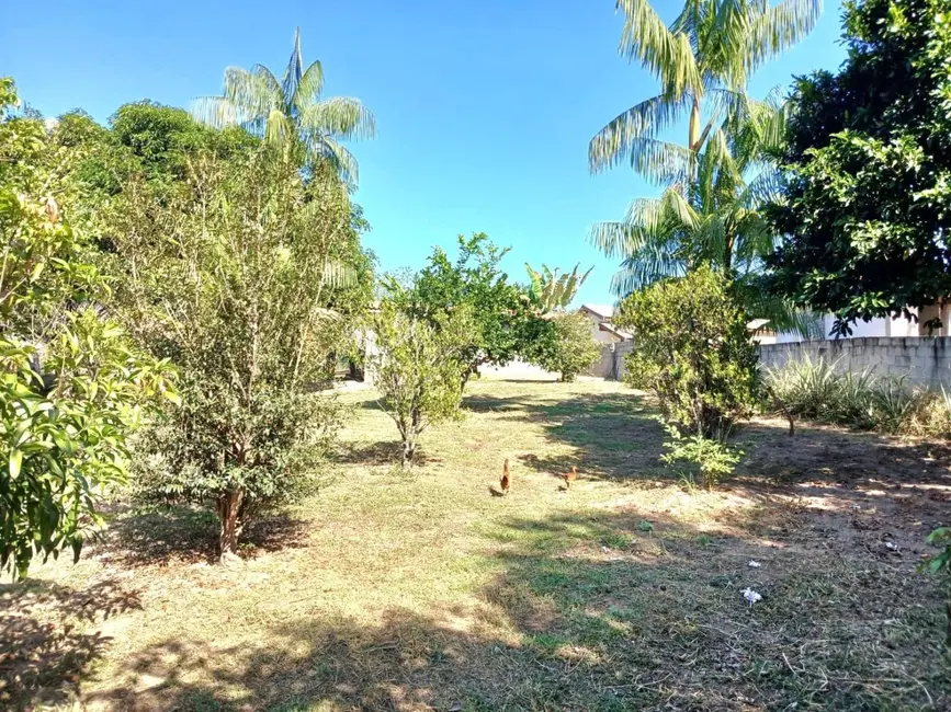 Foto 5 de Chácara com 3 quartos à venda e para alugar, 250m2 em Goiabal, Pindamonhangaba - SP