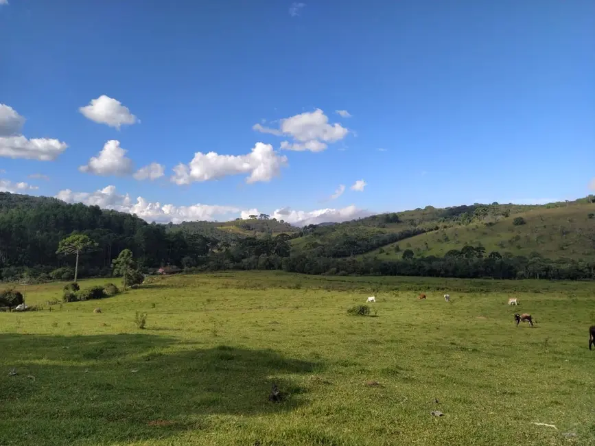 Foto 7 de Chácara à venda, 20000m2 em Cunha - SP