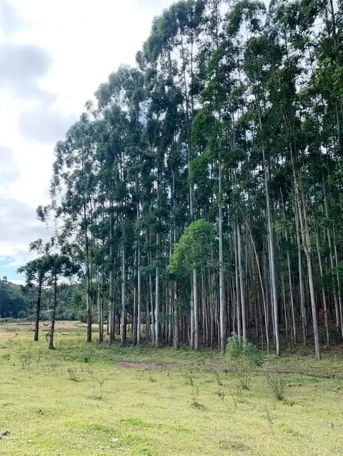 Foto 11 de Chácara à venda, 20000m2 em Cunha - SP