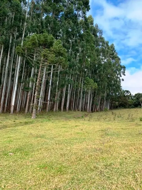 Foto 2 de Chácara à venda, 20000m2 em Cunha - SP