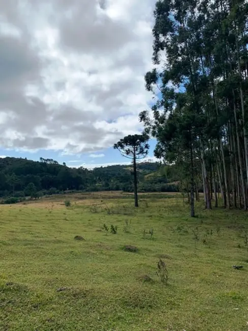 Foto 1 de Chácara à venda, 20000m2 em Cunha - SP