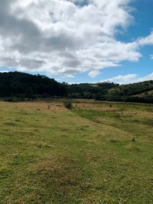 Foto 4 de Chácara à venda, 20000m2 em Cunha - SP