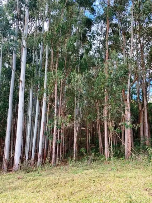 Foto 9 de Chácara à venda, 20000m2 em Cunha - SP