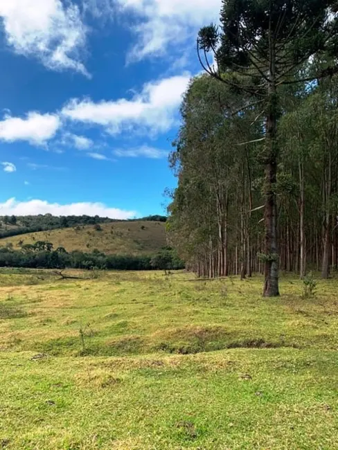 Foto 3 de Chácara à venda, 20000m2 em Cunha - SP