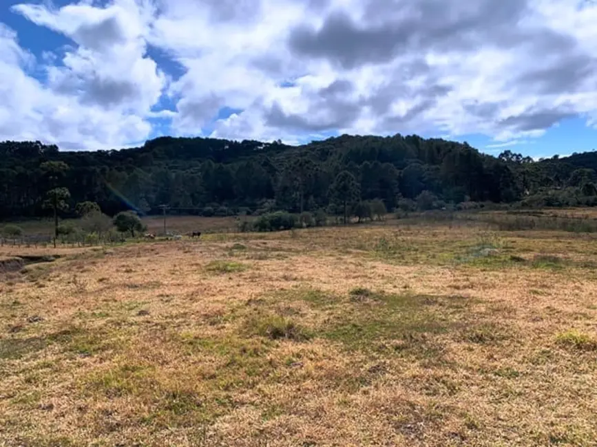 Foto 13 de Chácara à venda, 20000m2 em Cunha - SP