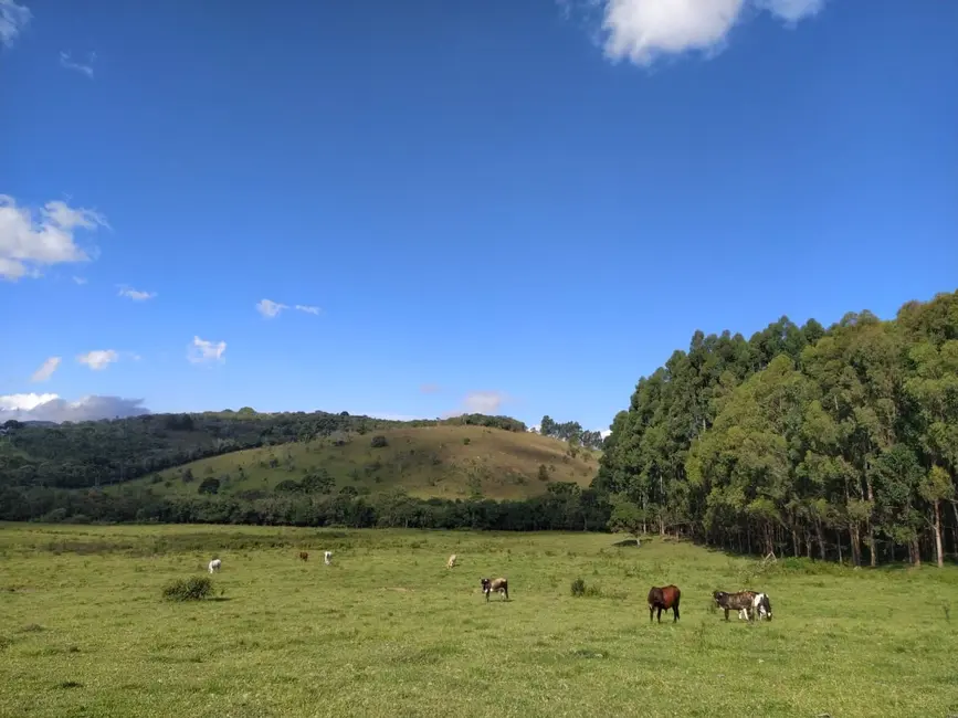 Foto 8 de Chácara à venda, 20000m2 em Cunha - SP