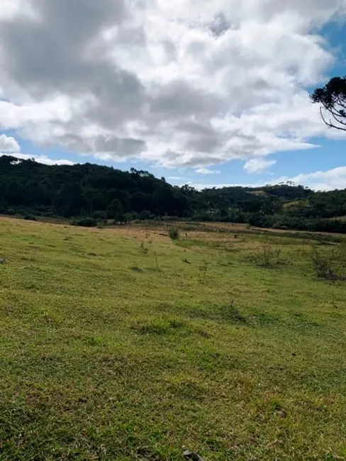 Foto 29 de Chácara à venda, 20000m2 em Cunha - SP