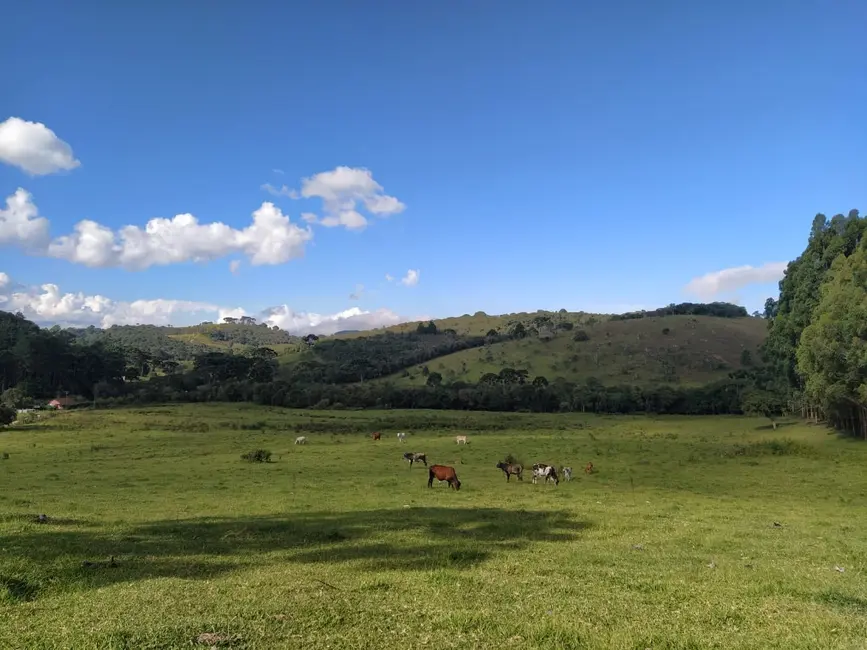 Foto 6 de Chácara à venda, 20000m2 em Cunha - SP